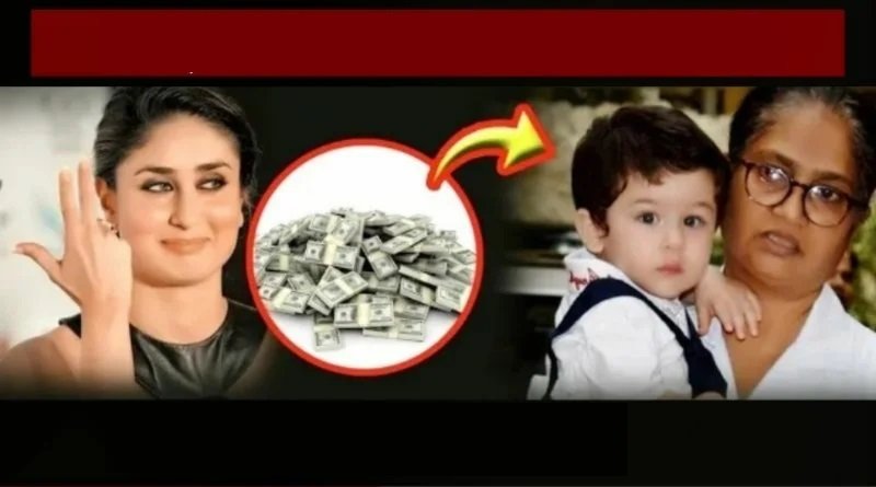 know about taimur nokrani salary