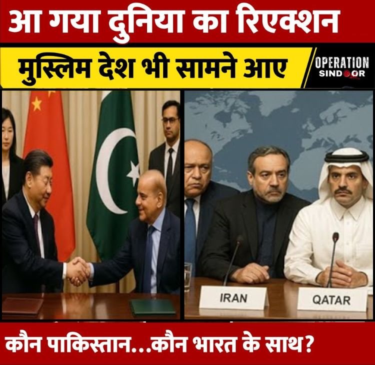 bharat pak dunia halchal