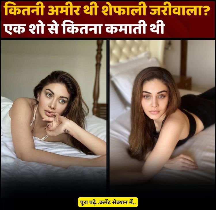 shefali amir