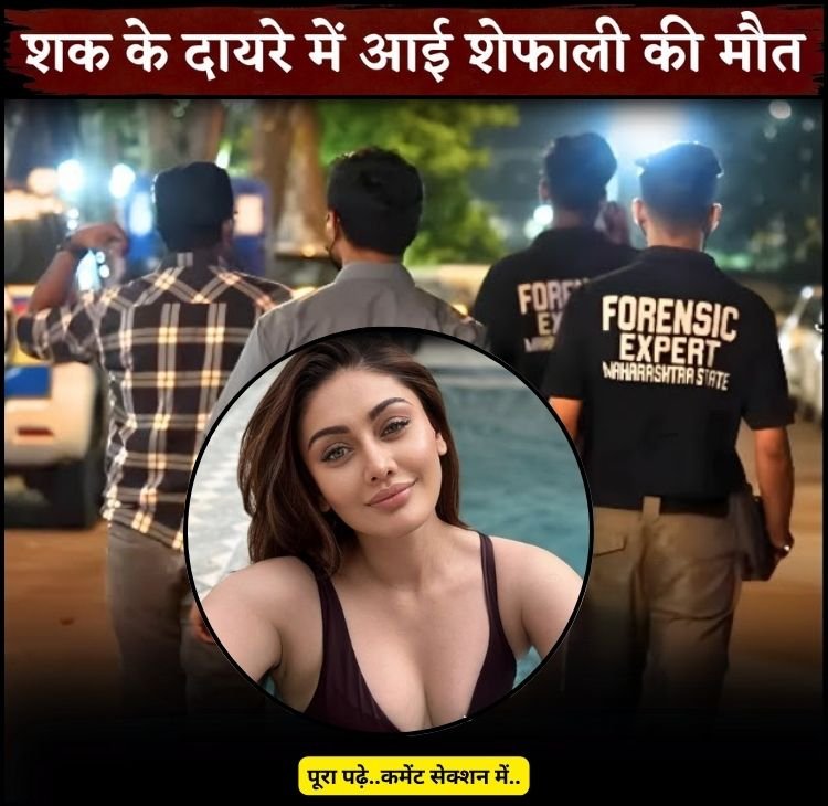 shefali nidhan n